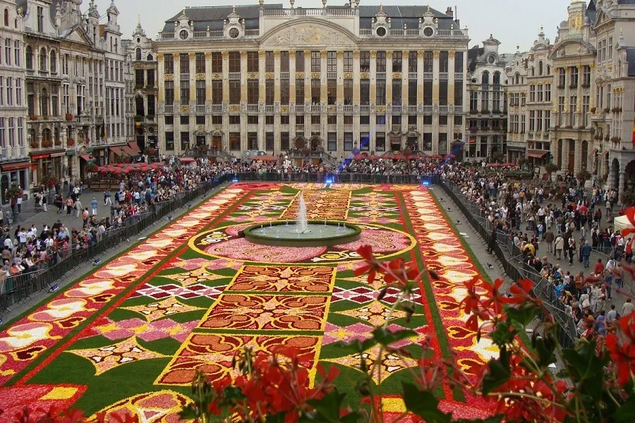Alfombra de flores Bruselas - La Grand-Place de Bruselas